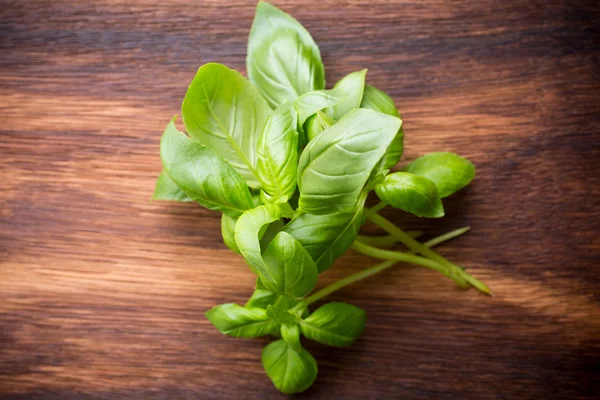 Basil. — Stock Photo, Image