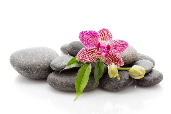 Spa stones — Stock Photo, Image