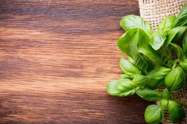 Basil. — Stock Photo, Image