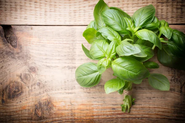 Basil. — Stock Photo, Image