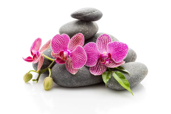 Wellness stones — Stockfoto