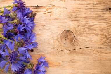 Peygamber Çiçeği.