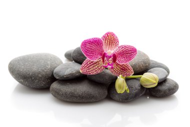 Spa taşlar