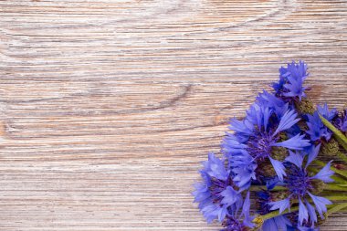 Peygamber Çiçeği.