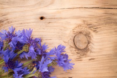 Peygamber Çiçeği.