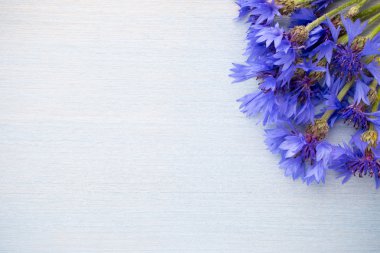 Peygamber Çiçeği.