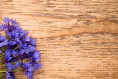 Peygamber Çiçeği.