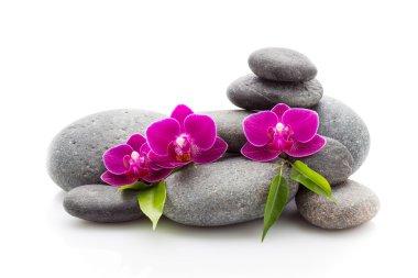 Spa taşlar