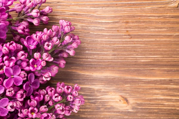 Lilac. — Stock Photo, Image