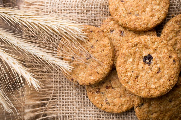 Cookies. — Stockfoto