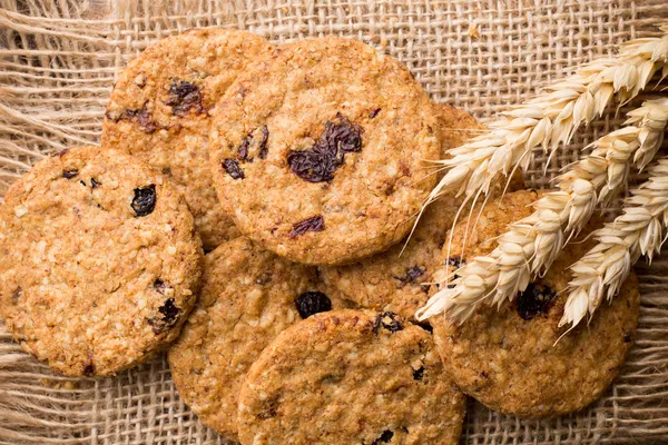 Cookies. — Stock Photo, Image