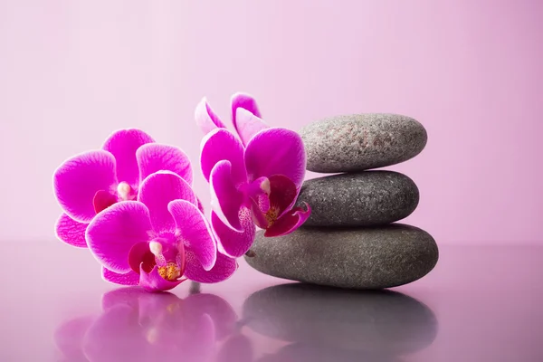 Spa stones. — Stock Photo, Image