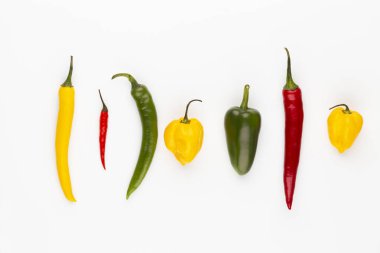 Pastel arka planı olan kırmızı biber deseni, kalıp arka plan tasarımı.