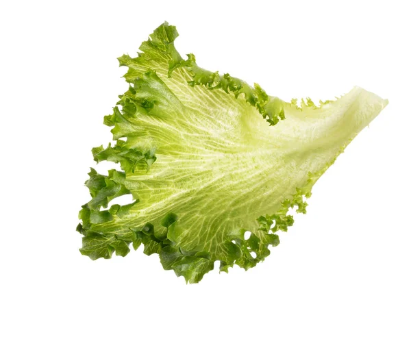 Salladsblad Bio Sallad Isolerad Vit Bakgrund — Stockfoto