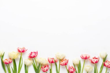 Bahar çiçekleri. Pastel renklerde laleler. Tebrik kartı Retro Vintage tarzı. Anneler günü, Paskalya tebrik kartı..