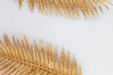  Mavi arka planda altın palmiye yaprağı. Palmiye yaprağı, düz ve üst görünüm.