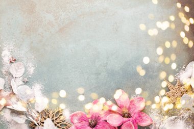Klasik mavi arka planda güzel, pembe bir Noel çiçeği. Düz dizayn. Uzayı kopyala Yatay.