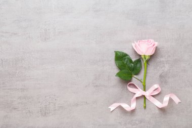 Bahar tebrik kartı, gri arka planda pastel renk gül. Çiçek tebrik kartı. Düz yatıyordu.