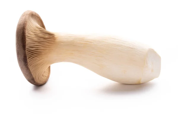 King Oyster Mushroom Eryngii Mushroom White Background — Stock Photo, Image