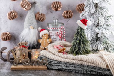 Bir fincan ve kurabiyeyle rahat bir Noel kompozisyonu. Şekerli sıcak çikolata..