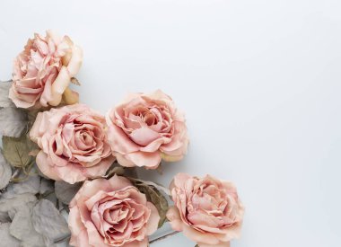 Pastel arka planda bir demet pembe gül. Kart kavramı, pastel renkler, resmi kapat, uzayı kopyala. Düz Yatay.