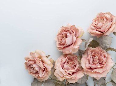 Pastel arka planda bir demet pembe gül. Kart kavramı, pastel renkler, resmi kapat, uzayı kopyala. Düz Yatay.