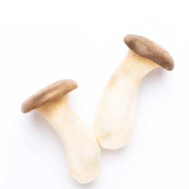 Kral istiridye mantarı. Beyaz arka planda eryngii mantarı.