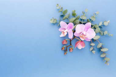 Pastel arka planda pembe orkide. Spa arkaplanı.