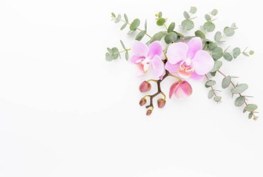 Pastel arka planda pembe orkide. Spa arkaplanı.