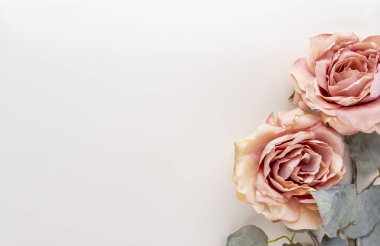 Pastel arka planda bir demet pembe gül. Kart kavramı, pastel renkler, resmi kapat, boşluğu kopyala.