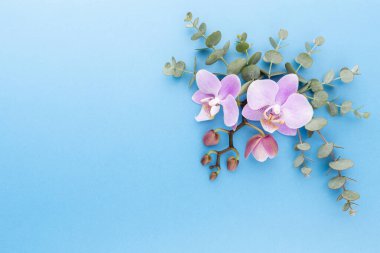 Pastel arka planda pembe orkide. Spa arkaplanı.