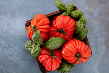 Fesleğen yapraklı domatesler, su damlaları yakın..