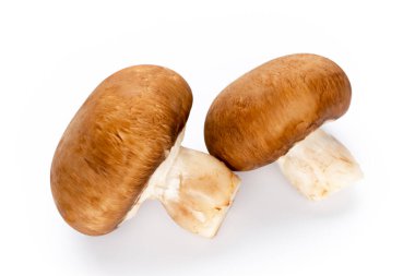 Taze şampiyon mantarları beyazda izole edilmiş.. 