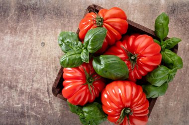 Fesleğen yapraklı domatesler, yaklaşın..