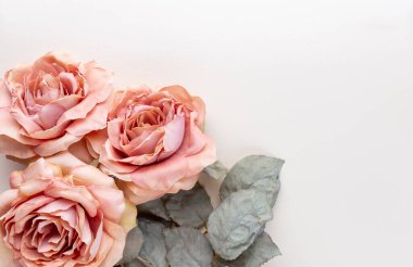 Pastel arka planda bir demet pembe gül. Kart kavramı, pastel renkler, resmi kapat, boşluğu kopyala.