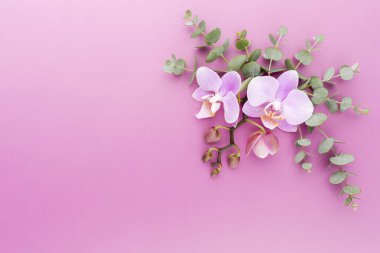 Pastel arka planda pembe orkide. Spa arkaplanı.