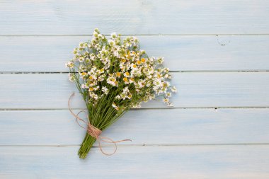 Spa aromaterapi arka planı, sade papatya çiçekleriyle süslenmiş çeşitli güzellik ürünleri..