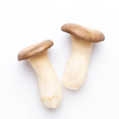 Kral istiridye mantarı. Beyaz arka planda eryngii mantarı.