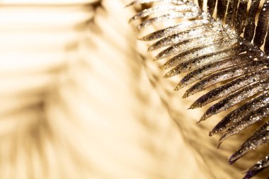 Duvarın arka planında palmiye yaprakları ve gölgeler.