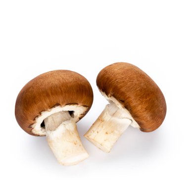 Taze şampiyon mantarları beyazda izole edilmiş.. 