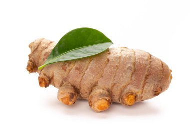 Zerdeçal, Curcuma longa Linn, rizom beyaz arkaplanda izole.