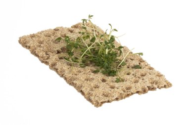 Krem peynirli, sebzeli ve salamlı mini sandviçler.. 