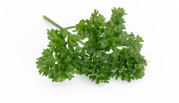 Bio Parsley Leaf White Background — Stock Photo, Image