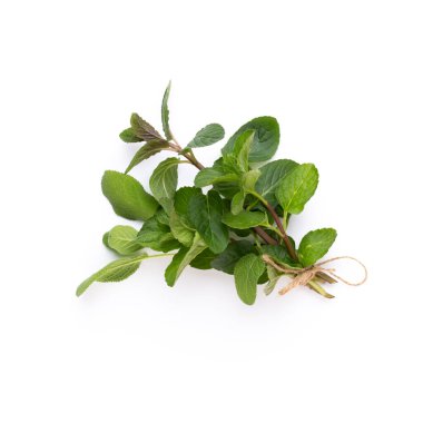 Beyaz arka planda izole edilmiş baharat bitkisi. Üst Manzara. Düz uzanma deseni.