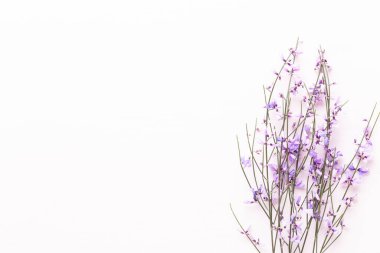 Çiçek kompozisyonu. Pembe arka planda pembe çiçekler. Paskalya, bahar konsepti. Tebrik kartı, düz konum, üst görünüm. 