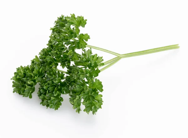 Bio Parsley Leaf White Background Stock Image