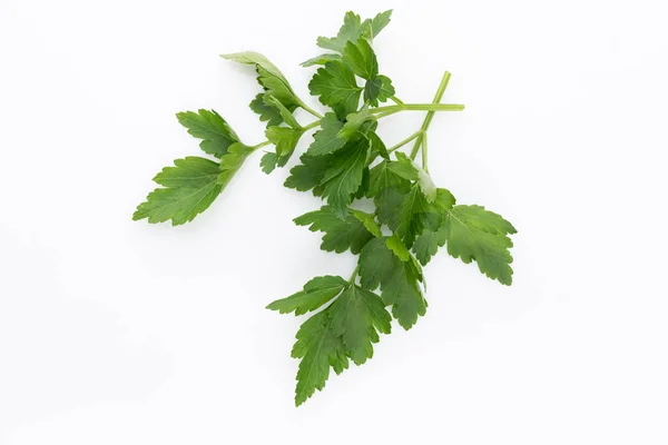 Bio Parsley Leaf White Background — Stock Photo, Image