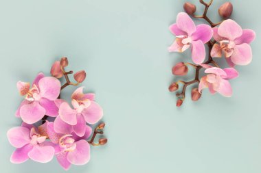 Pastel arkaplanda pembe orkide temalı nesneler.