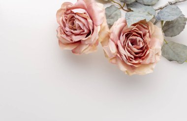 Pastel arka planda bir demet pembe gül. Kart kavramı, pastel renkler, resmi kapat, boşluğu kopyala.