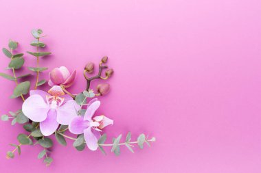 Pastel arka planda pembe orkide. Spa arkaplanı.